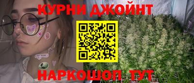 дмт Гатчина
