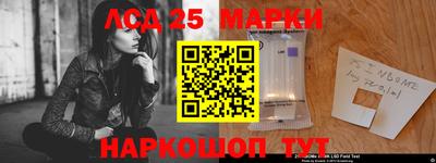 дмт Гатчина