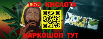дмт Гатчина