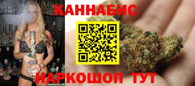 дмт Гатчина